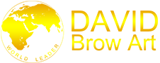 DAVID BROW ART